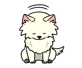 お辞儀する白いチワワ