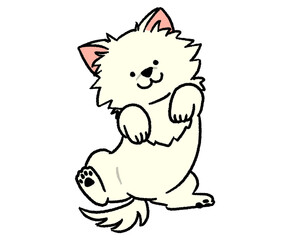 仰向けに寝る白いチワワ