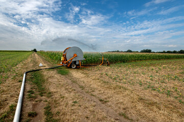 Dürre und Trockenheit in der Landwirtschaft, künstliche Bewässerung mit Bewässerungswagen und Bewässerungskarre im Maisfeld.