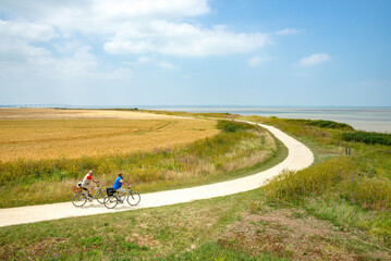 Two senior tourists cycling on Atlantic coastal path at La Rochelle, Charente-Maritime, France - obrazy, fototapety, plakaty