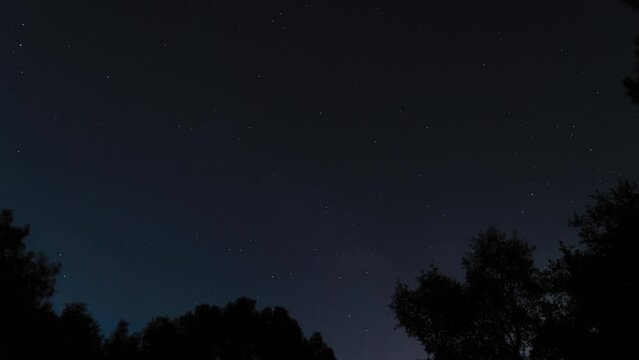 Silhouette of trees against dark night starry sky, time lapse view