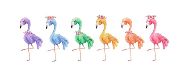 Flamingo watercolor illustration isolated clipart, rainbow color birds with flower wreath on white background, lgbtq, pride, diversity concept, wild bird in summer for print, invitation card, design.