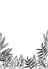  On a white background of black tropical plants