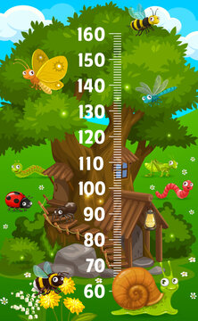 Cartoon insect characters and oak tree house, kids height chart growth measure vector meter. Child height measure scale with butterfly, ladybug and worm, snail and bumblebee, dragonfly and grasshopper