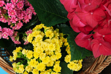 Wicker basket with amazing flowers, close up