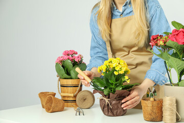 Concept of gardening, woman care for flowers