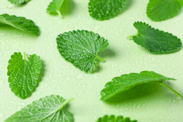 Concept of aromatherapy with mint on green background