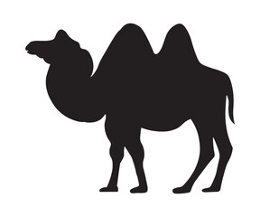 black silhouette, shadow of a double-humped camel