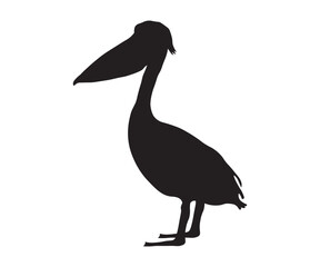 black silhouette, shadow of a pelican standing sideways