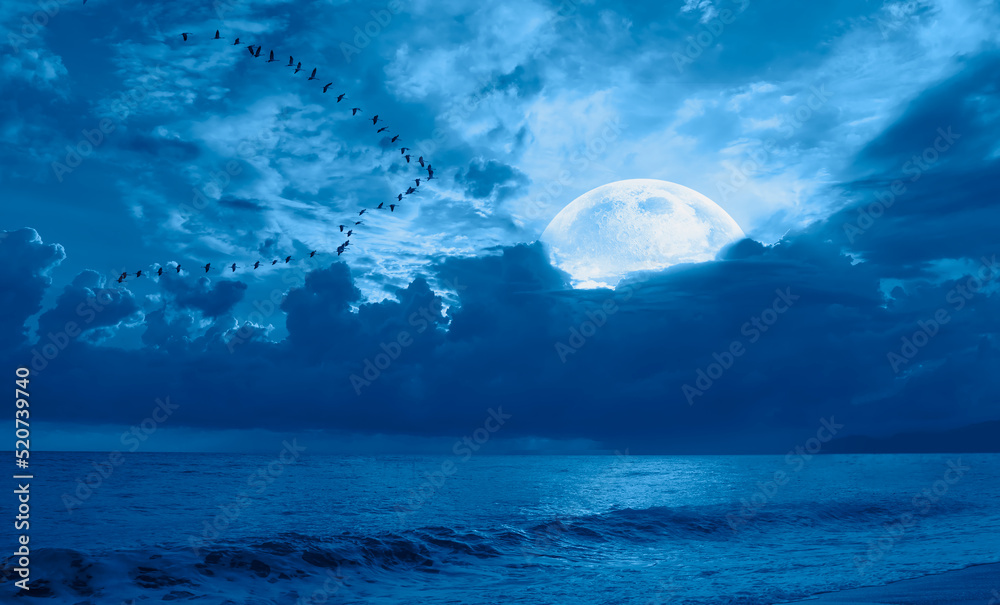 Poster migratory birds flying in the sky with full blue moon 
