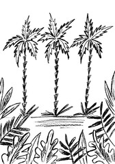 tropical landscape with palm trees and other plants