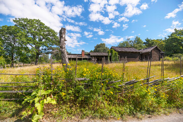 Fototapeta na wymiar Old log farm houses in a meadow, a sunny summer day in Stockholm