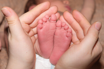 The legs of a two-week-old baby are in the hands of a mother. The palms of a woman and the feet of a child, the love and care of parents.