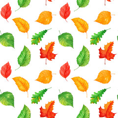 Autumn leaves seamless pattern. Fall foliage background. Perfect for textile and scrapbooking.