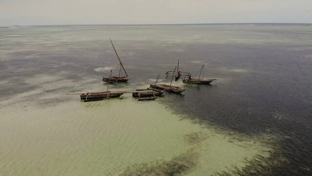 traditional dhow sailing canoe outriggers moored offshore in a group floating peacefully in the shallow ocean