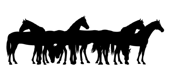 Horses are grazing. Picture silhouette. Farm pets. Animals domestic traditional. Isolated on white background. Vector Goat with kid near the herd