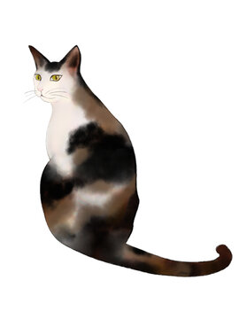 子猫の後ろ姿 の画像 277 件の Stock 写真 ベクターおよびビデオ Adobe Stock