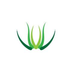 Aloe vera logo vector ilustration template