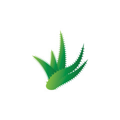 Aloe vera logo vector ilustration template