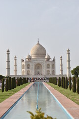 Fototapeta premium He smelled the way the Taj Mahal looks by moonlight