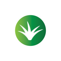 Aloe vera logo vector ilustration template