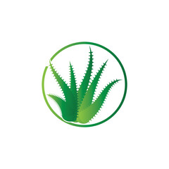 Aloe vera logo vector ilustration template