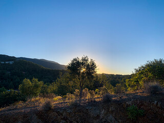 Obraz premium cyprus, cyprus limassol, cyprus beach, cyprus paphos, cyprus city, cyprus property, Seashore and pebble beach with wild coastline in Cyprus island