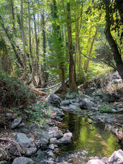 Obraz premium cyprus, cyprus limassol, cyprus beach, cyprus paphos, cyprus city, cyprus property, Seashore and pebble beach with wild coastline in Cyprus island