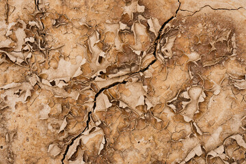 Brown rusty grunge background. Abstract texture of dry clay ground with cracks on earth soil