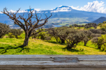 Table de pique-nique à la campagne, plaine des Cafres, Île de la Réunion 