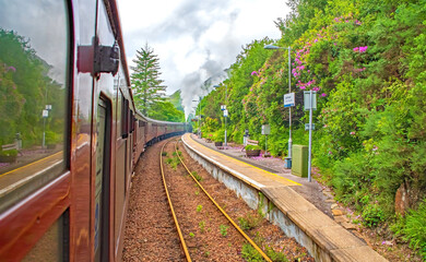 Fototapeta premium jacobite steam train Jacobite ist ein dampfbetriebener Museumszug in Schottland