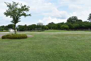 日本の前橋市　前橋公園の風景
