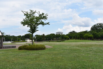 日本の前橋市　前橋公園の風景