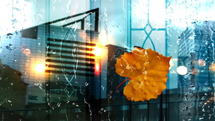 Autumn  rainy city ,yellow leaves and  rain drops on wet  window glass ,Rainy weather, pedestrian with umbrella ,  bokeh bluured night city light  ,Autumn season background template banner 