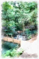Naklejka premium Streams in natural forests have a clear green water that people swim in watercolor style illustration impressionist painting.