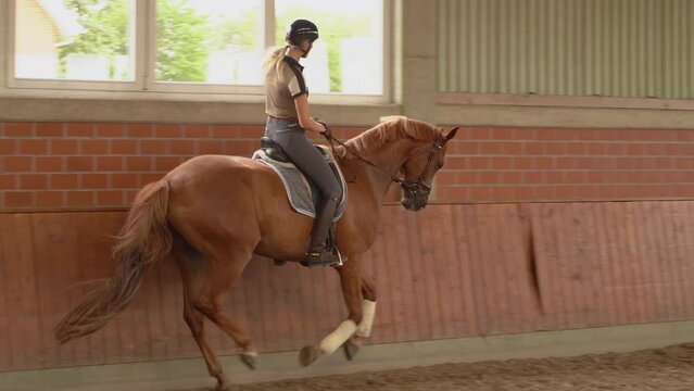 Young Female And Chestnut Dressage Horse Canter At Indoor Arena. Tracking Shot