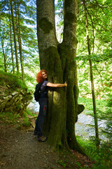 Hiker hugging a tree
