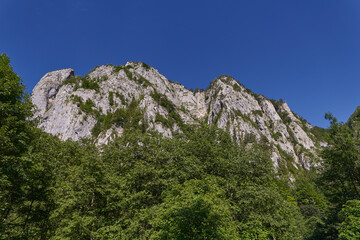 Rocky mountains in the summer