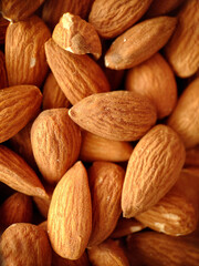 Close-up of a handful of large almonds