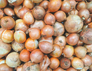 fresh onions background in market, ready for sell.