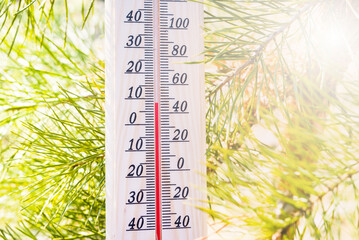 Thermometer on weather shows low temperatures in fahrenheit or celsius with pretty green colors of...