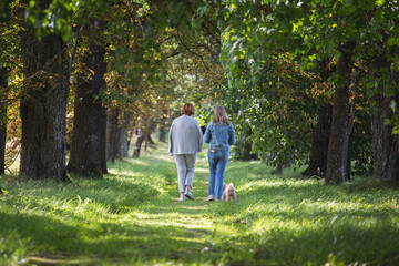 Fototapeta premium Two women walk with a puppy along the green alley in the park