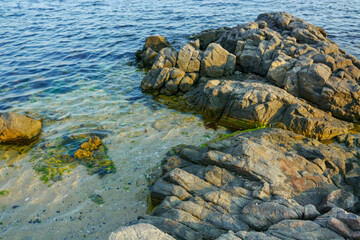 rocks in the water at the sea shore. nature background on the sandy beach in morning light