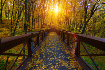 Autumn landscape in the forest with wooden bridge
