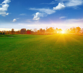 Golf course with a green turf