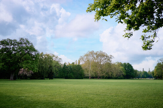 Landscape with green trees and grass field.