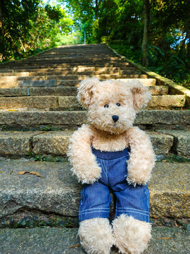 Scoutbear 261 in Taiwan. The joy of mountain climbing on Xiangshan. Xiangshan is a mountain in Taiwan.