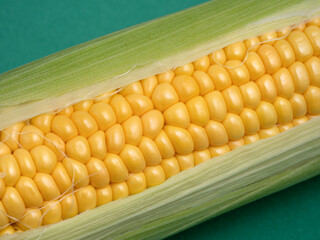 生のトウモロコシ