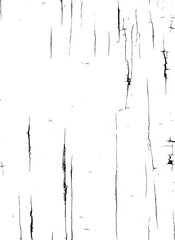 Weathered cracked grunge texture, old painted concrete wall. Shabby lines, scratch pattern. Isolated png illustration, transparent background. Use for overlay, montage, grain, brush, shadow.