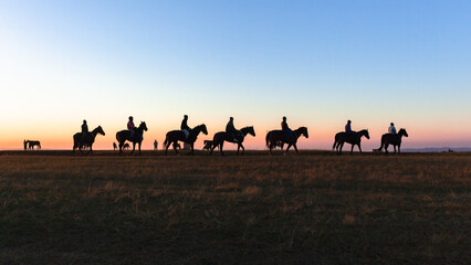 Horses Riders Silhouette Training Track Morning Dawn Sky Panoramic Landscape.